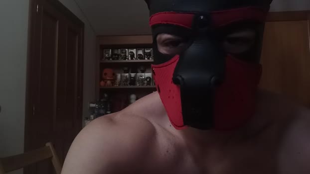 Frabroker 24-05-2024 Recorded Video playtime