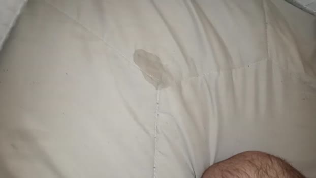 casalmigsusa 24-05-2024 Recorded Video oral