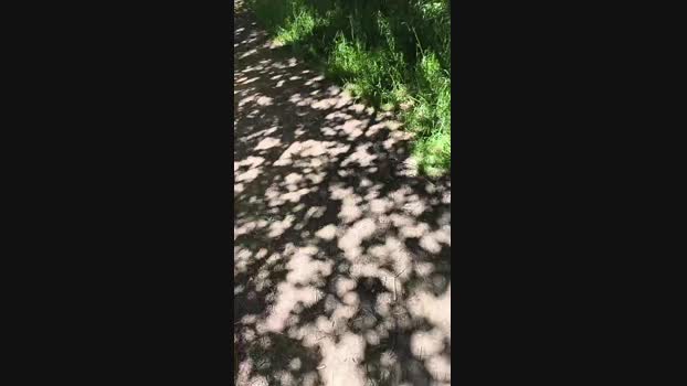 gossgrass1 24-05-2024 Recorded Video deep