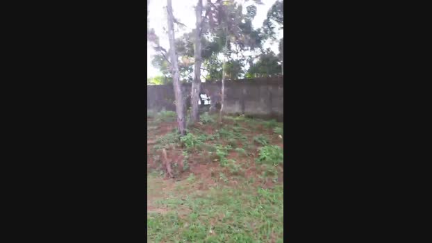 maxpayne4 23-05-2024 Recorded Video prettyface