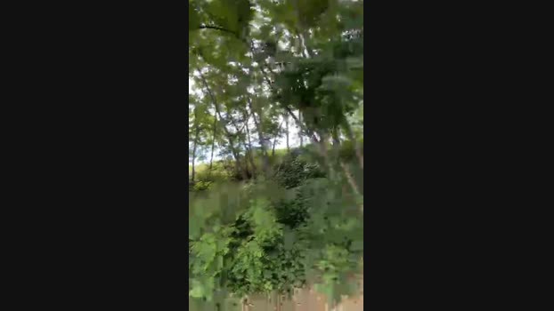 Rudyferrara 25-05-2024 Recorded Video jerkoff
