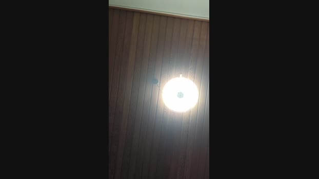 Doperman 26-05-2024 Recorded Video kink