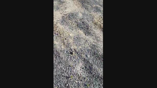 Bigdickforyouu 27-05-2024 Recorded Video jackoff