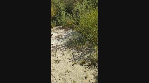Bigdickforyouu 28-05-2024 Recorded Video ass