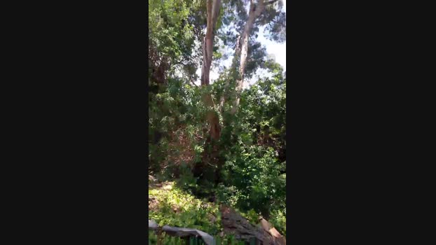 mariosito 27-05-2024 Recorded Video Nude