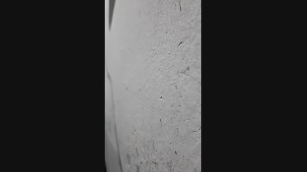 pochatts 28-05-2024 Recorded Video bigass
