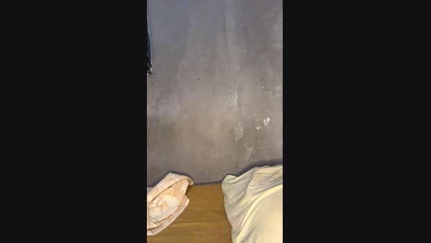 021_alves 29-05-2024 Recorded Video toys