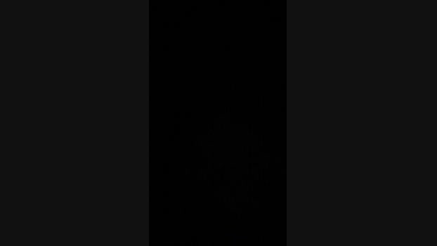 El_ceco 28-05-2024 Recorded Video sexy