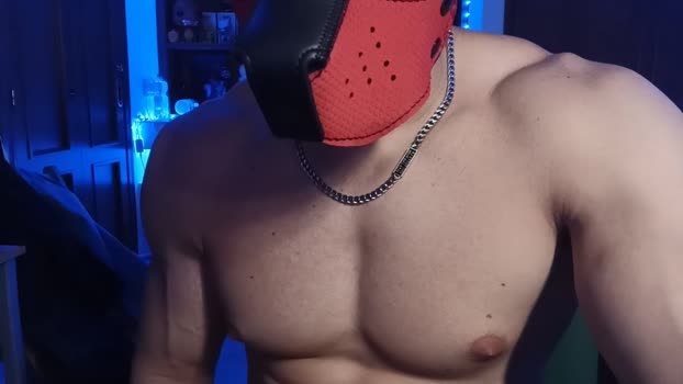 Frabroker 28-05-2024 Recorded Video legs
