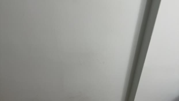 Liutommy5 29-05-2024 Recorded Video toy