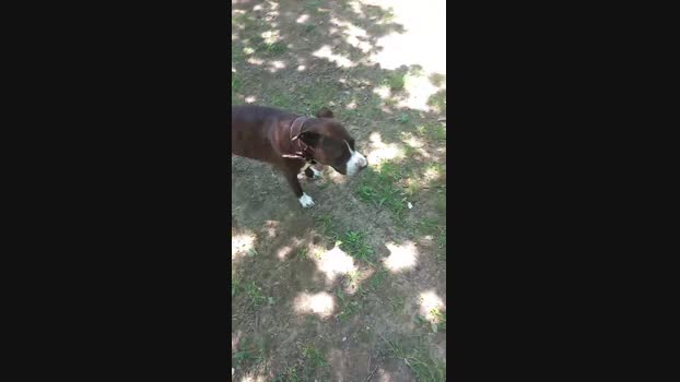 Magagna91 29-05-2024 Recorded Video Video