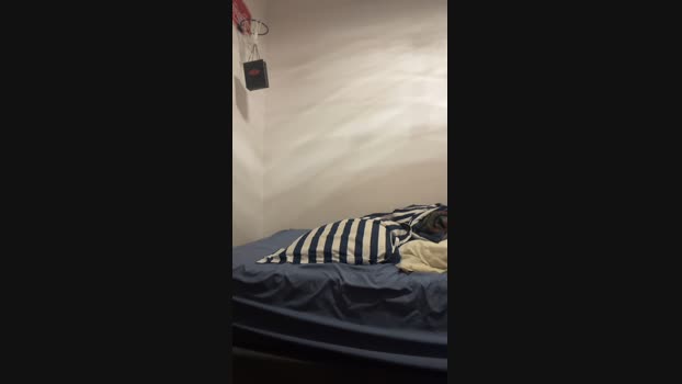 buscoelconch 29-05-2024 Recorded Video bigass