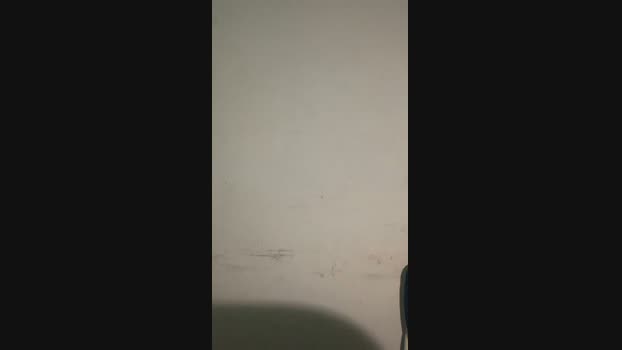 rodrigo3203 29-05-2024 Recorded Video sexybody