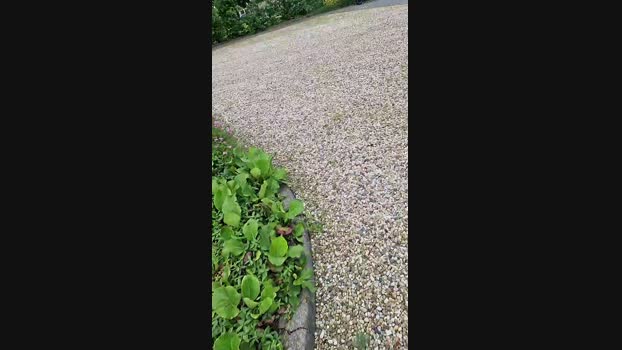 dannydong96 30-05-2024 Recorded Video hot
