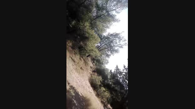 pathpeter 30-05-2024 Recorded Video deep