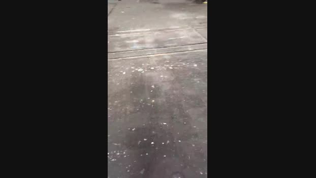 publicexib1 30-05-2024 Recorded Video squirt