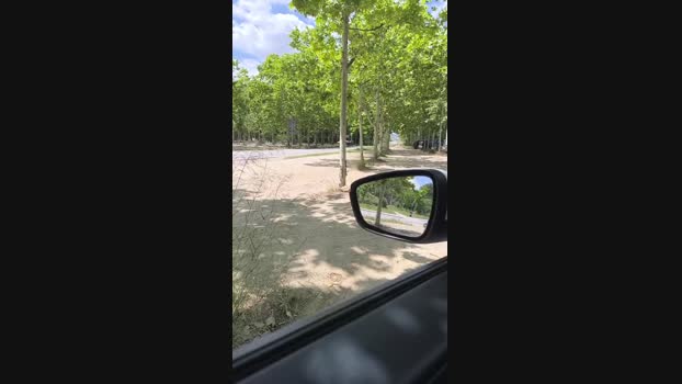 Bcnees 31-05-2024 Recorded Video prettyface