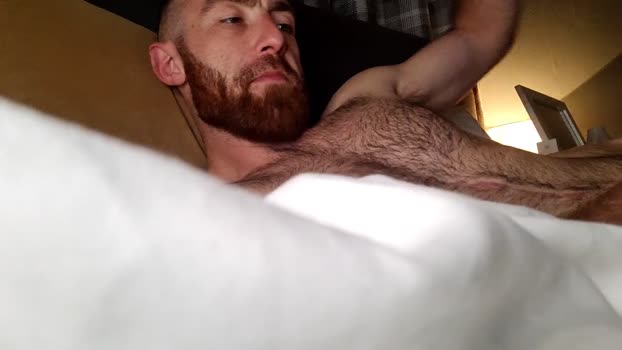 hunghairy_xxx 31-05-2024 Recorded Video blowjob