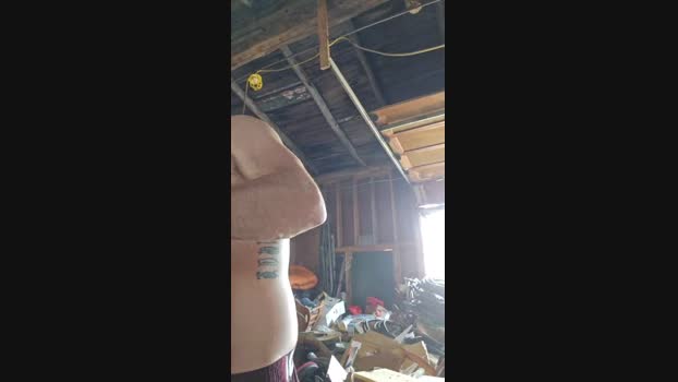 4_Fox_sakes 01-06-2024 Recorded Video gay