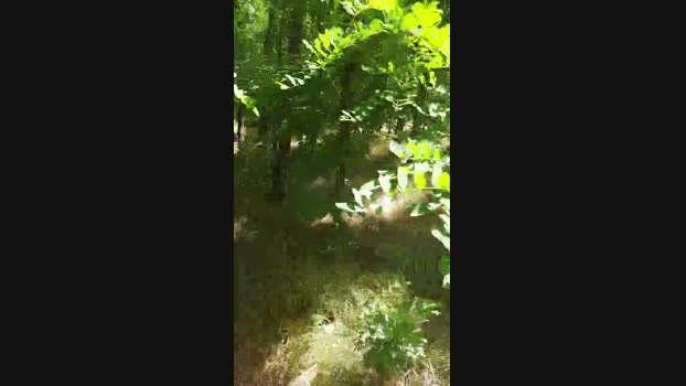 faraon47 02-06-2024 Recorded Video big