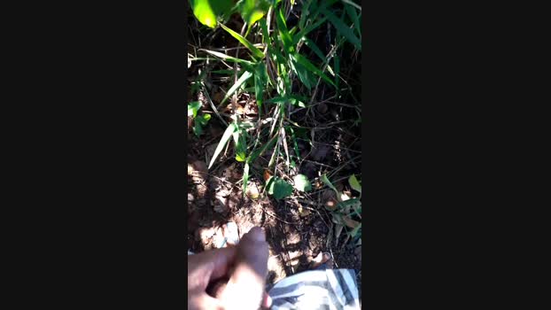 recoblue22cm 02-06-2024 Recorded Video orgasm
