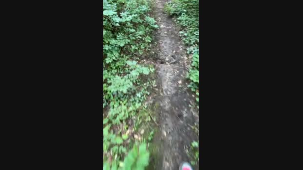 Edward_venezia 04-06-2024 Recorded Video cute