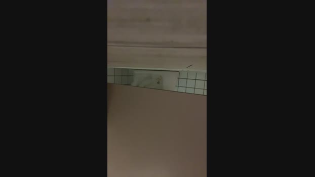 bigzhung 04-06-2024 Recorded Video hot