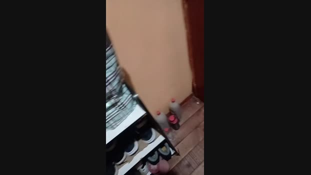 brayanchileno 04-06-2024 Recorded Video lovense