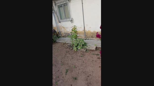 magrogostoso1 03-06-2024 Recorded Video bigload