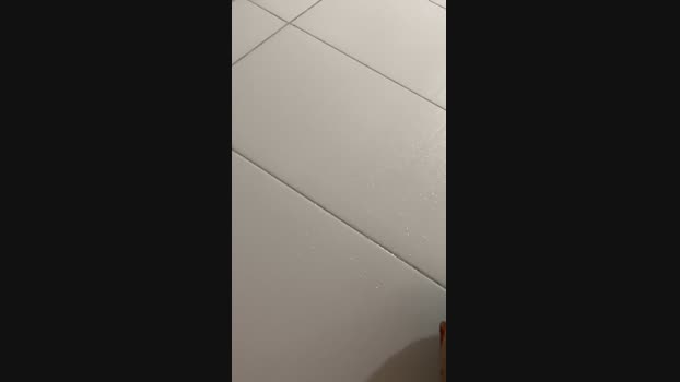 pivete_hot 04-06-2024 Recorded Video bigtoys
