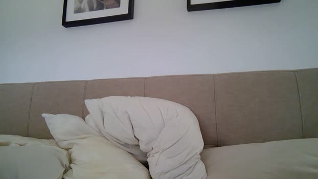 themike123 04-06-2024 Recorded Video big