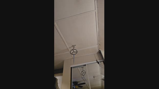 4_Fox_sakes 05-06-2024 Recorded Video kink