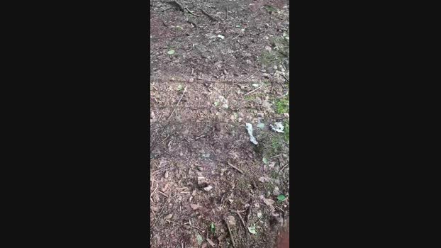Outdoorgeil1 04-06-2024 Recorded Video suckcock