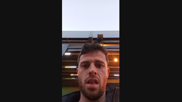 pocholo30 05-06-2024 Recorded Video dirty