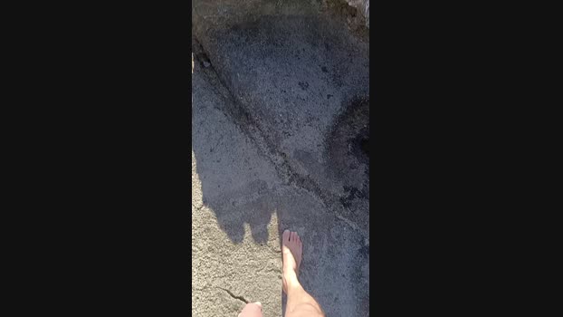 Bullypoy 05-06-2024 Recorded Video hot