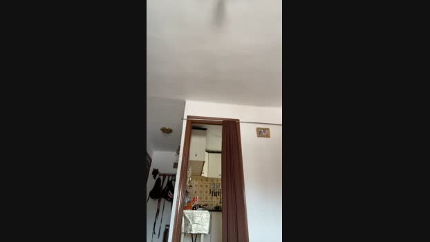 Charlye666 06-06-2024 Recorded Video gay