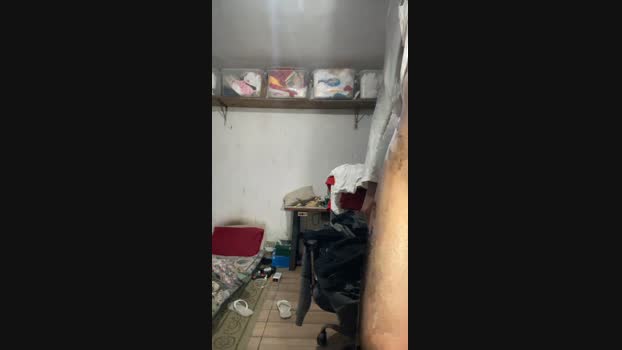 cavalo_23cm4 06-06-2024 Recorded Video kink