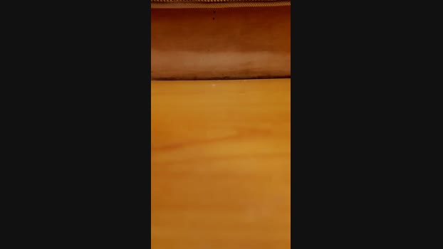 gg8405 06-06-2024 Recorded Video twink