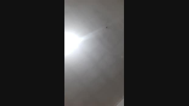 NovinhoDotVst 07-06-2024 Recorded Video sexybody