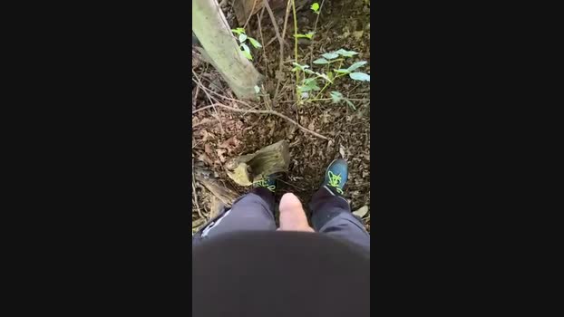 hase0912 07-06-2024 Recorded Video big