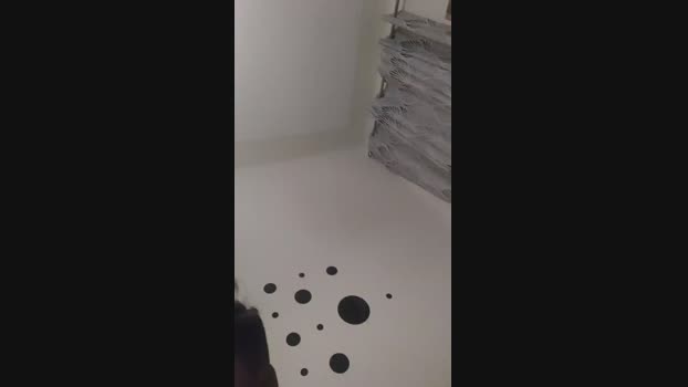 domineiton 08-06-2024 Recorded Video lovense