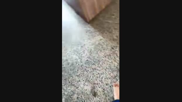 qwertasdf01 08-06-2024 Recorded Video sexyfeet