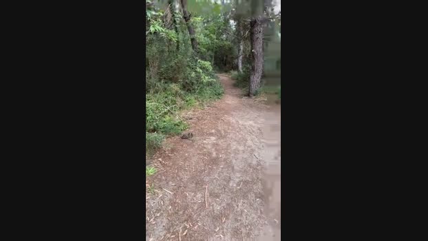 JOREDD 09-06-2024 Recorded Video bigdick