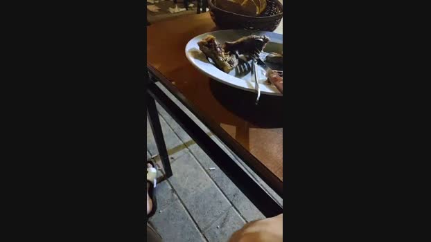 greek1000 09-06-2024 Recorded Video play