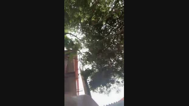 juandegutigmai1 09-06-2024 Recorded Video Pretty