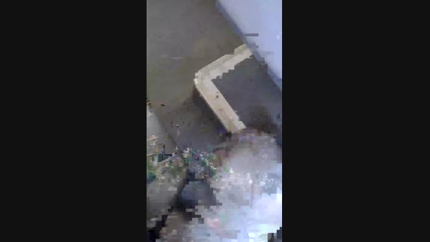 MEDUSATRAV 10-06-2024 Recorded Video show