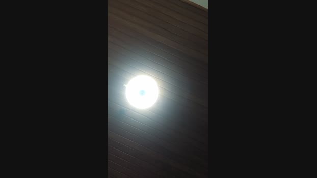 Doperman 10-06-2024 Recorded Video bigtoys