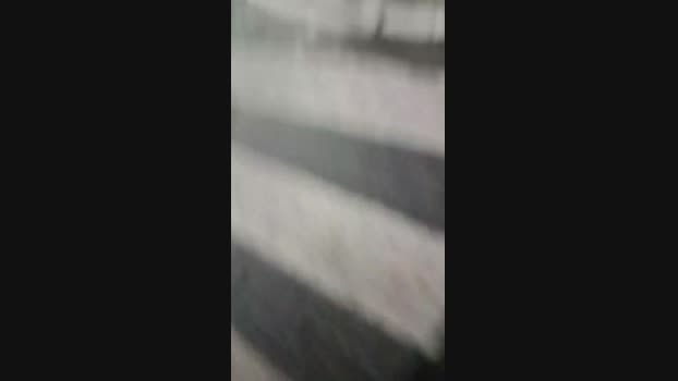 Vanluiz28 11-06-2024 Recorded Video natural