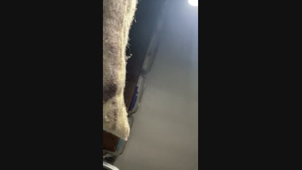 cavalo_23cm4 11-06-2024 Recorded Video bj-dildo