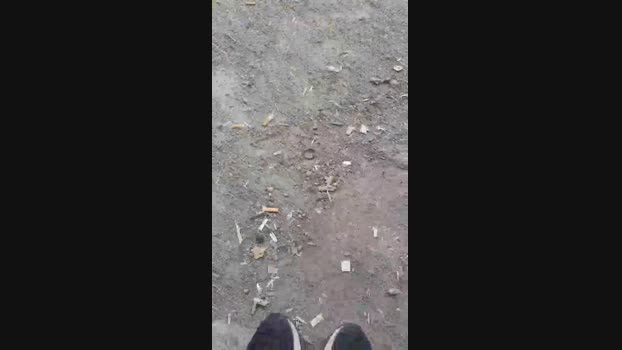xartzxx 11-06-2024 Recorded Video Download